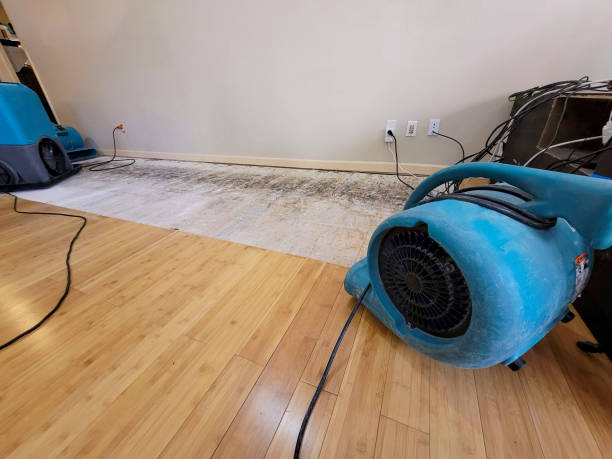 Professional Flood Damage Cleanup technician working in West River, MD